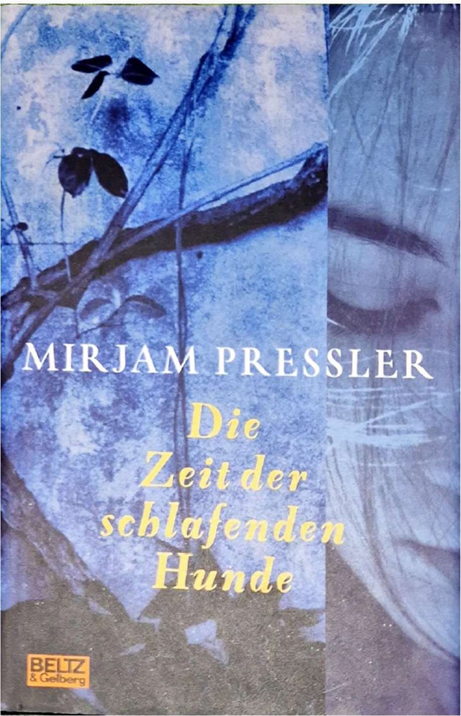 Schlafende Hunde